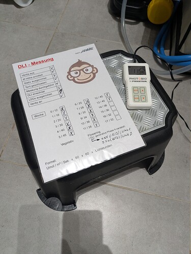 Growreport Bild 2