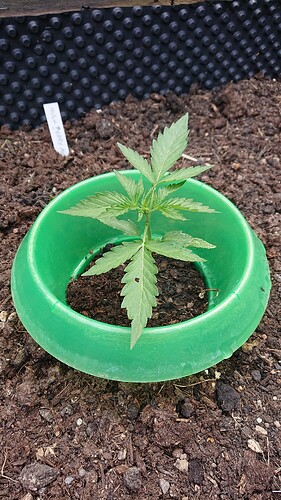 Growreport Bild 18