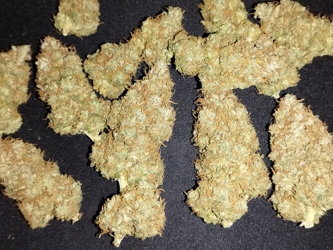 Mehrere getrocknete Cannabis-Buds liegen auf einem dunklen Untergrund.