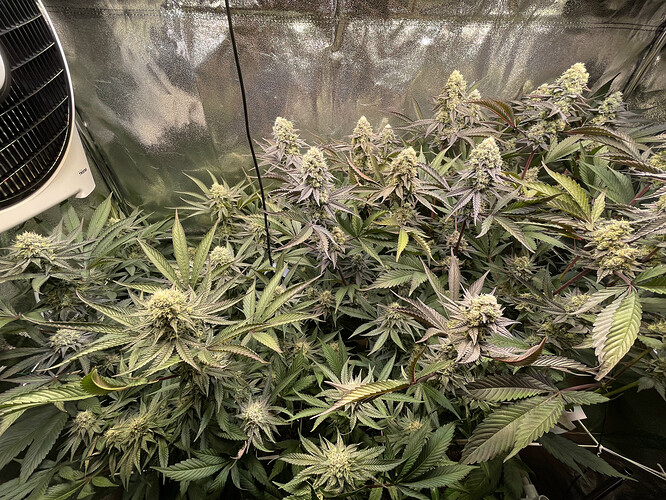 Growreport Bild 15