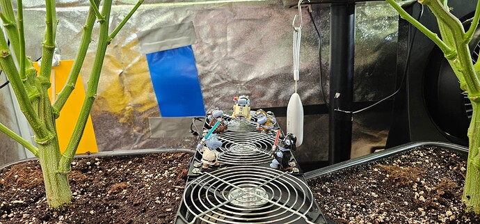 Growreport Bild 58