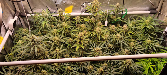 Growreport Bild 24