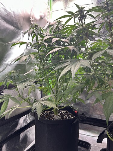 Growreport Bild 3