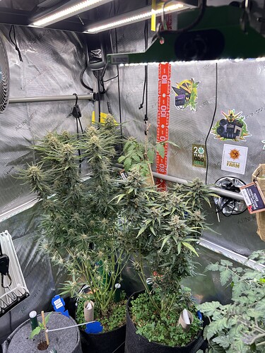 Growreport Bild 11