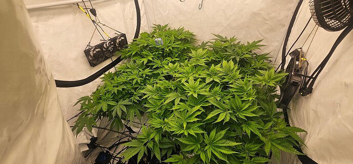 Growreport Bild 2