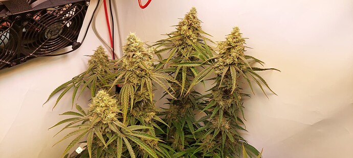 Growreport Bild 8