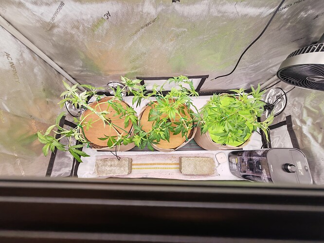 Growreport Bild 25