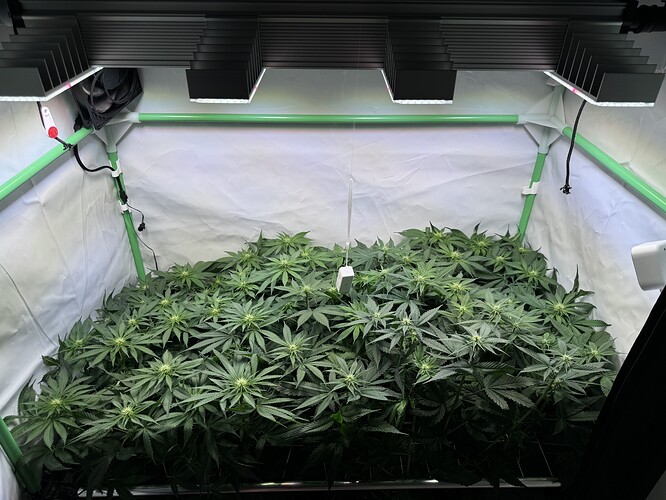 Growreport Bild 21