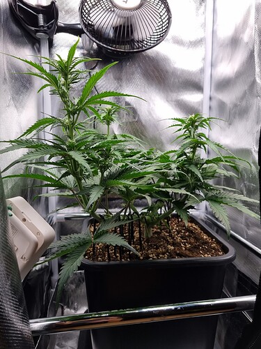 Growreport Bild 18