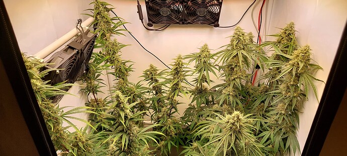 Growreport Bild 5