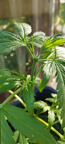 Growreport Bild 2