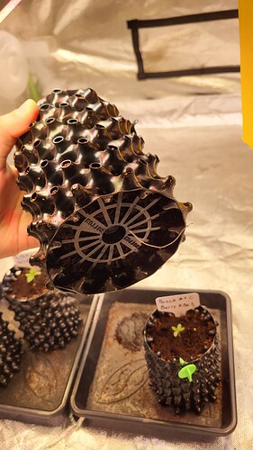 Growreport Bild 7