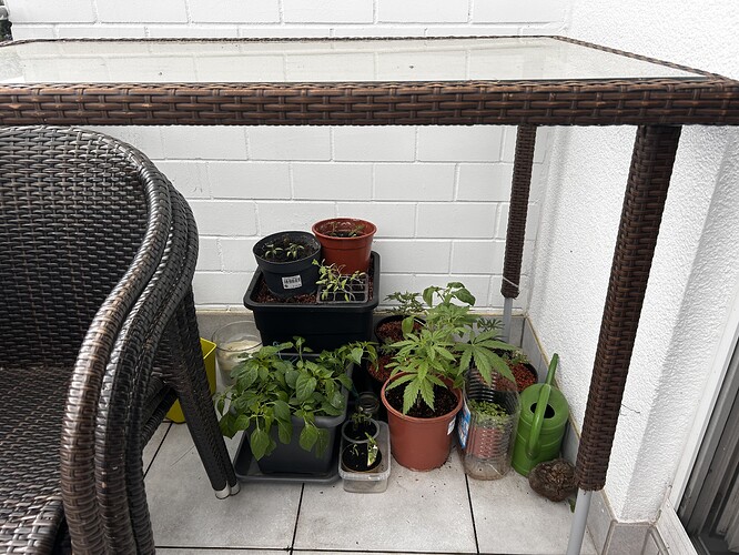 Growreport Bild 22