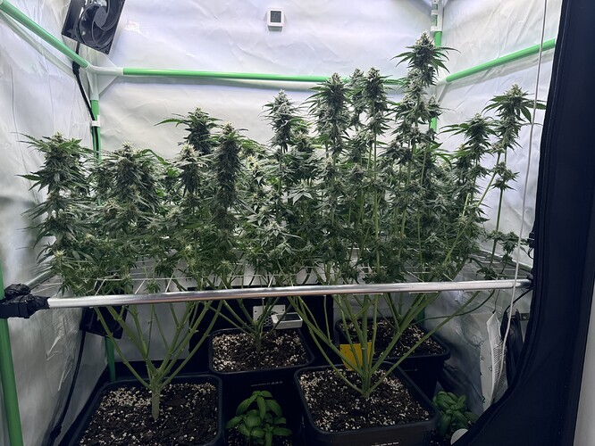 Growreport Bild 4