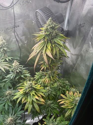 Growreport Bild 15