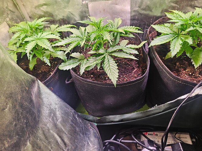 Growreport Bild 26