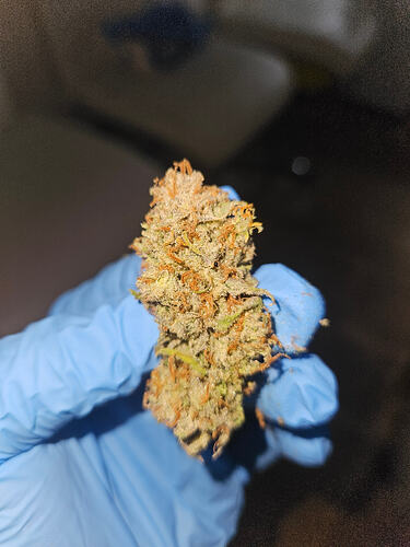 Growreport Bild 1