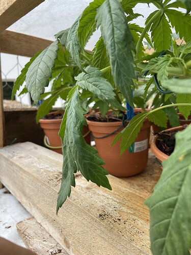 Growreport Bild 12