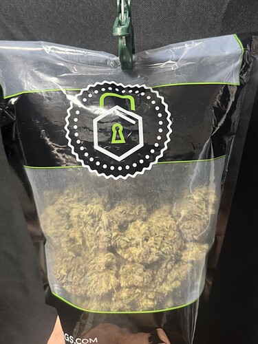 Growreport Bild 9