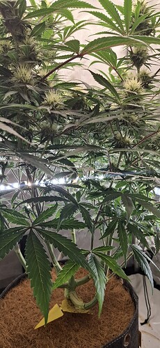 Growreport Bild 12