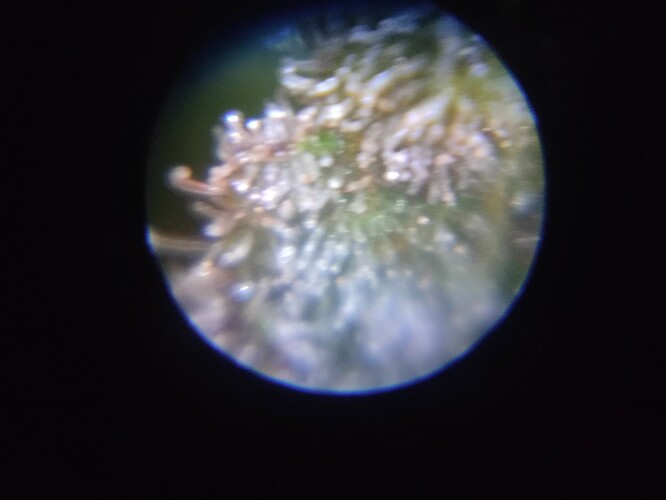 Growreport Bild 7
