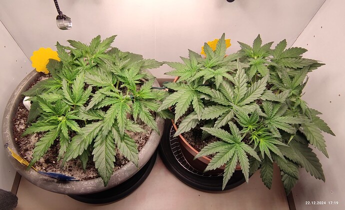 Growreport Bild 4