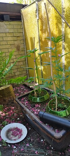 Growreport Bild 22