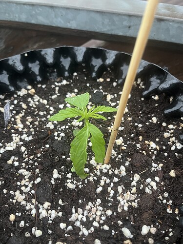 Growreport Bild 2
