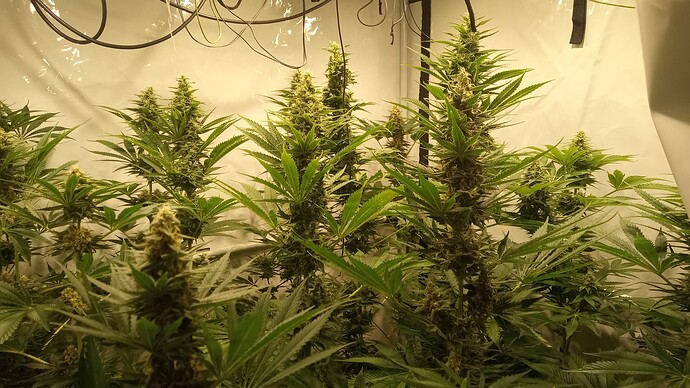 Growreport Bild 14