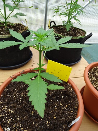 Growreport Bild 18