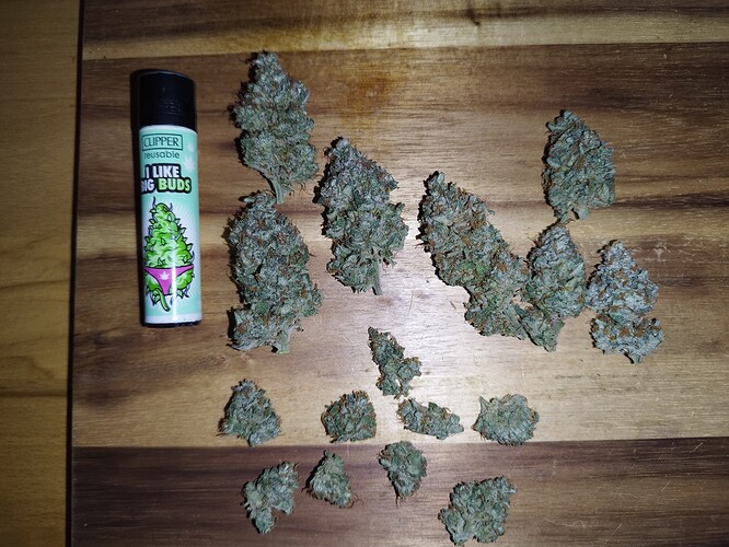 Mehrere getrocknete Cannabis-Buds liegen auf einem Holzhintergrund neben einem Feuerzeug mit der Aufschrift "I LIKE BIG BUDS".
