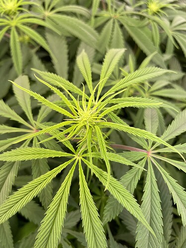 Growreport Bild 22