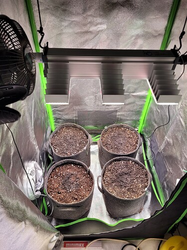 Growreport Bild 2