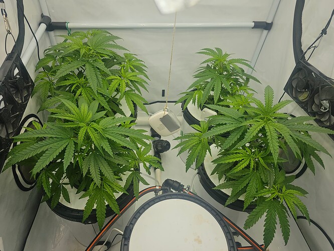 Growreport Bild 5