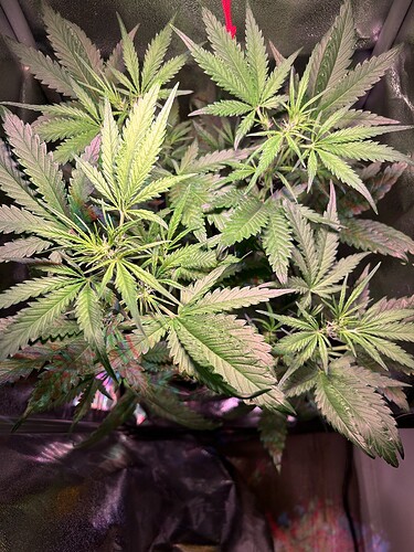 Growreport Bild 5