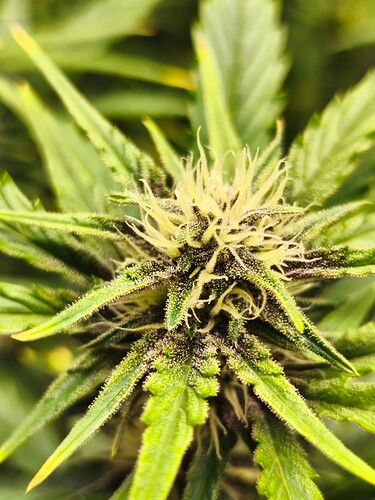 Growreport Bild 11