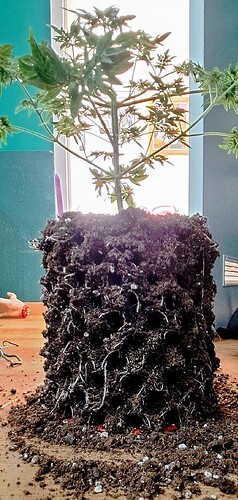 Growreport Bild 10