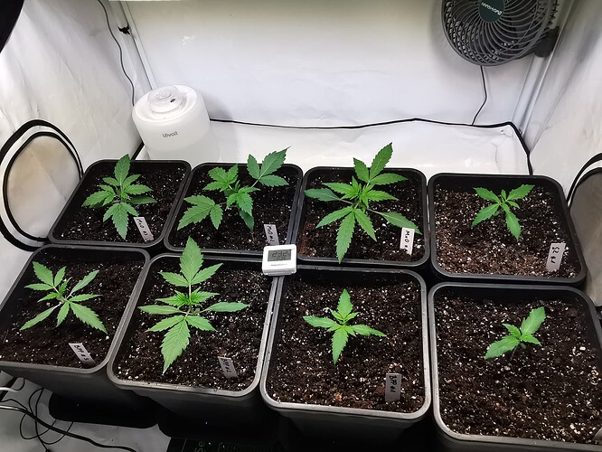 Growreport Bild 1