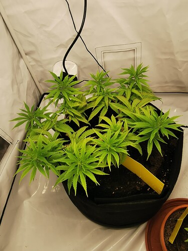 Growreport Bild 11