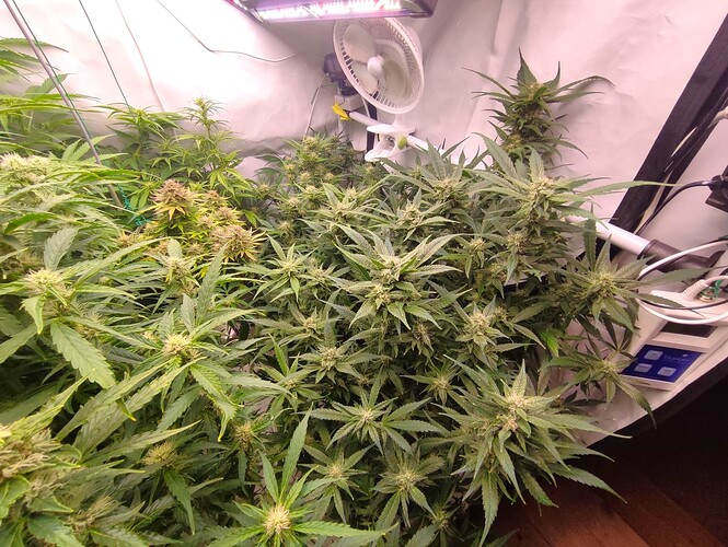 Growreport Bild 5