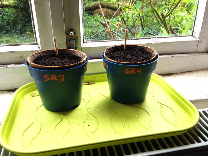 Grow26_0510_2
