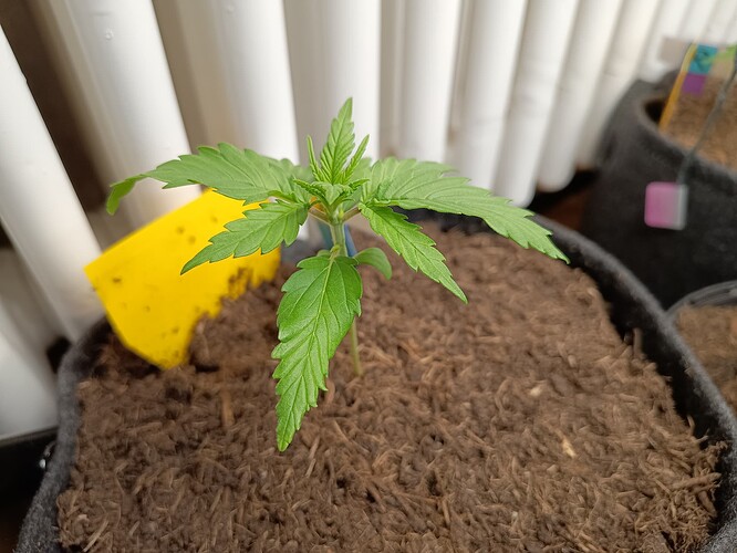 IMG_20240506_184422127