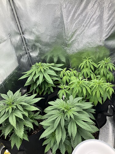 Growreport Bild 19
