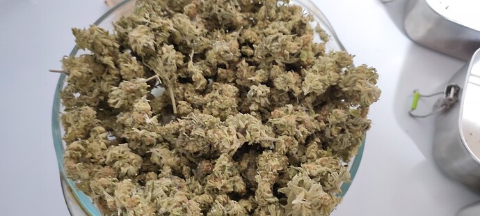 Growreport Bild 60