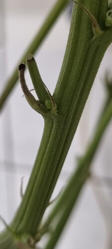 Growreport Bild 19