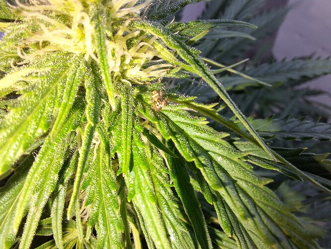 Growreport Bild 4