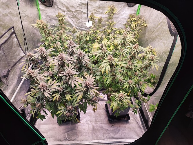 Growreport Bild 12