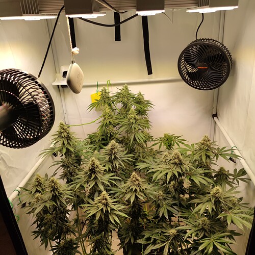 Growreport Bild 4