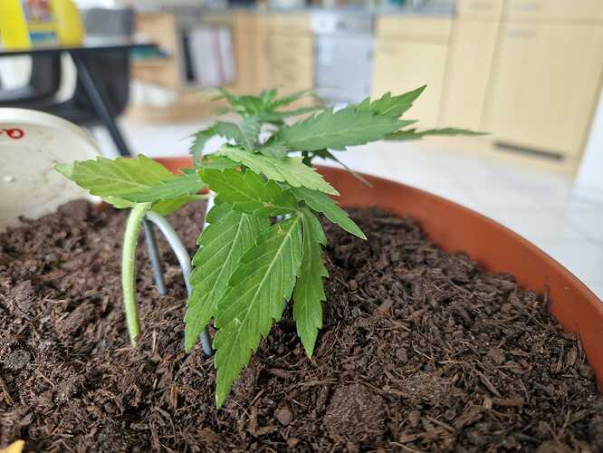 WhatsApp Image 2024-05-22 at 17.48.42 (3)