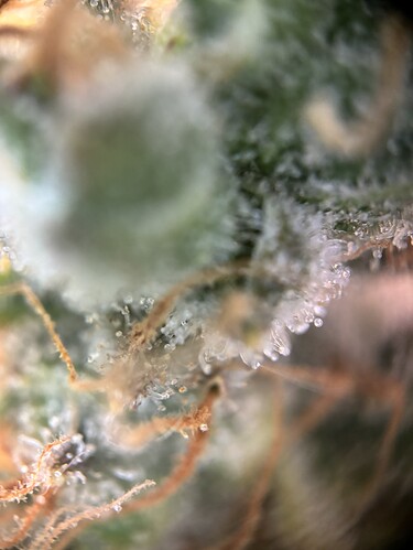 Growreport Bild 17